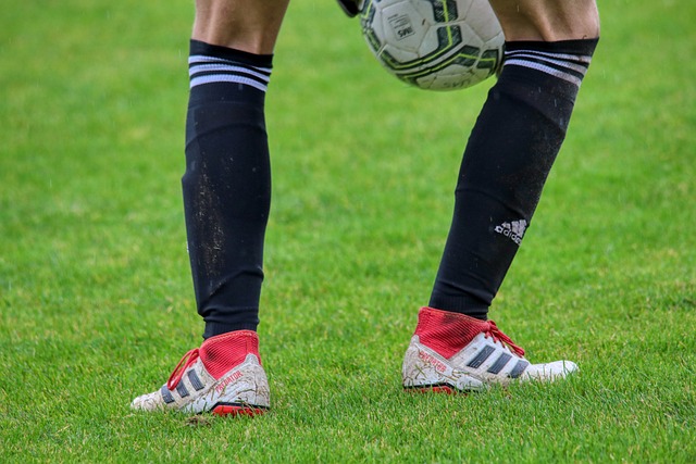 体能练习 体能练习