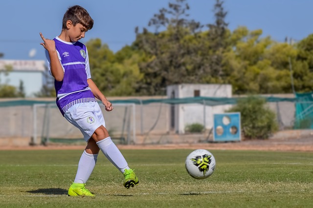 不仅证明了 不仅证明了