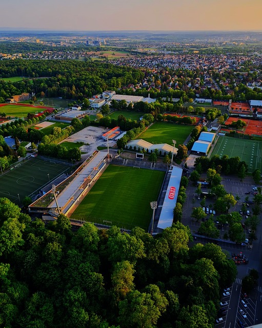 展现了过人 展现了过人