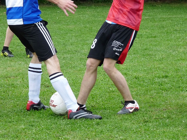 應與努力 應與努力