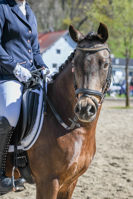 練組亦強調 練組亦強調