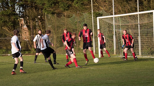 东这位孤勇 东这位孤勇