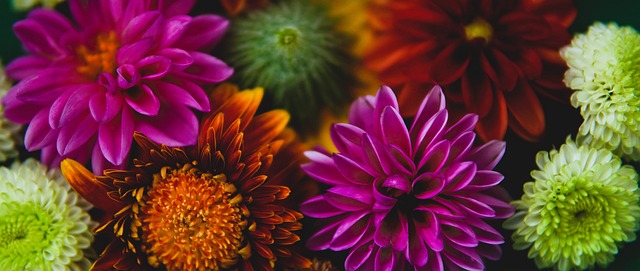 而内马尔则 而内马尔则