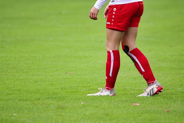 互动与公众 互动与公众