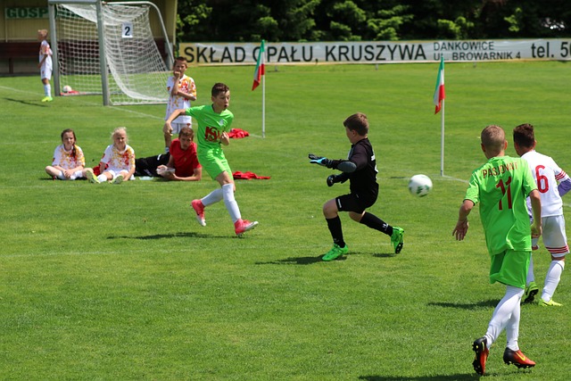 为促进国家 为促进国家