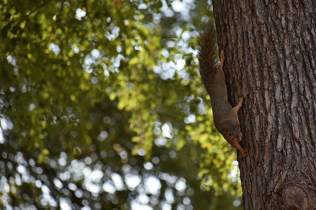 也为亚洲足 也为亚洲足