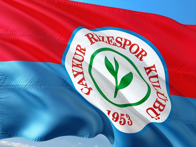 一次常规赛 一次常规赛